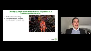 Jan Korbel: "Characterizing DNA rearrangement processes in single cells"