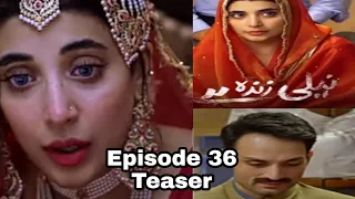 Neeli Zinda Hai Episode 36 Teaser|Neeli Zinda Hai Episode 36 promo|Neeli Zinda Hai Episode 35 review