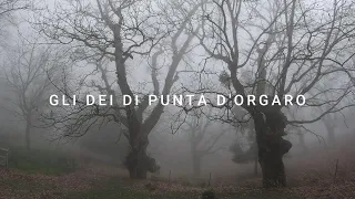 GLI DEI DI PUNTA D'ORGARO