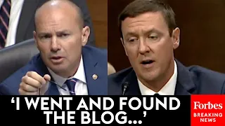 'I Was Almost Surprised To See That': Mike Lee Grills Biden Judge Nom About Controversial Blog Post