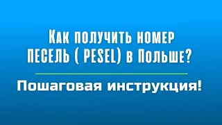 Как получить номер PESEL без прописки в Польше бесплатно?