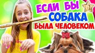 ЕСЛИ БЫ СОБАКА БЫЛА ЧЕЛОВЕКОМ