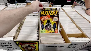 NYCC 2023 - Hunting for Comic Books at The New York Comic Con (Artist Ally Adventure)