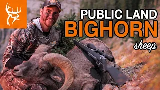 ONCE IN A LIFETIME BIGHORN! DANGEROUS! | Buck Commander