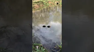 Pond overflow working perfectly