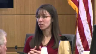 Jodi Arias Trial Day 29 (Full)