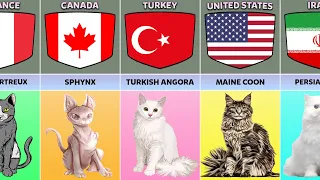 Cat Breeds From Different Countries