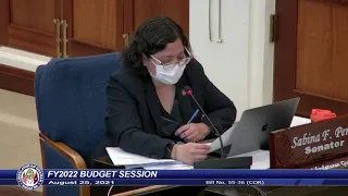 36th Guam Legislature FY2022 Budget Session - August 25, 2021 PM Pt.2