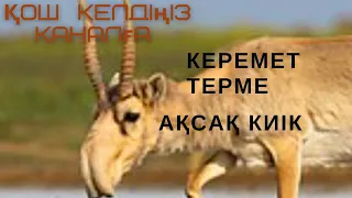 Ақсақ киік ,керемет терме