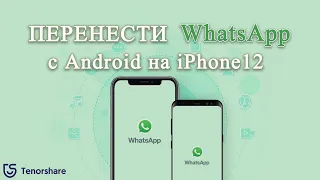 САМЫЙ ПРОСТОЙ способ перенести WhatsApp с Android на iPhone 13