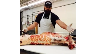 The Best How to Butcher a Deer Video EVER, by The Bearded Butchers at Whitefeather Meats!