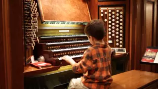 Peter plays the Mander organ at St. Ignatius Loyola