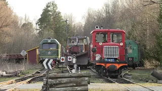 УЖД: Разные тепловозы в музее Лавассааре / Different narrow gauge locomotives at Lavassaare museum