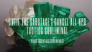 Destroy The Sabotage | Untie The Impact Of NPD Sabotage Subliminal