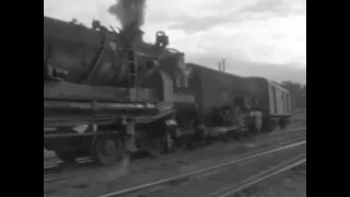 Trainspotting with Roger McKenzie: NSW trains 1960s-70s