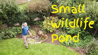 Building a Wildlife Pond: Creating a Thriving Habitat in the UK