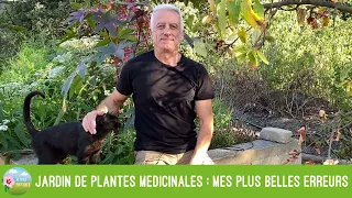 Jardin de plantes médicinales : 6 erreurs fondamentales