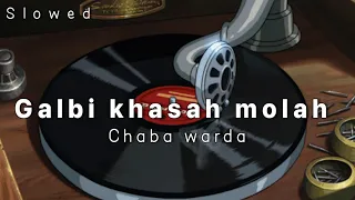 galbi khasah molah ~ chaba warda | slowed & reverb