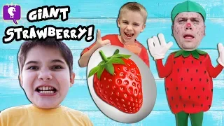 GIANT RED COLOR EGG and Strawberry ADVENTURE SURPRISE with HobbyKidsTV