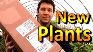 My New Plants Arrived in the Mail | Plant Unboxing | 2021 Plant Haul