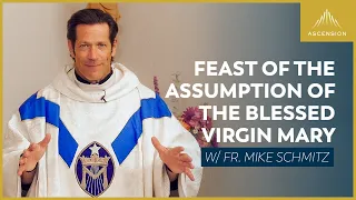 Solemnity of the Assumption of the Blessed Virgin Mary - Mass with Fr. Mike Schmitz