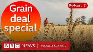 All you need to know about the Russia-Ukraine grain deal - The Global Jigsaw, BBC World Service