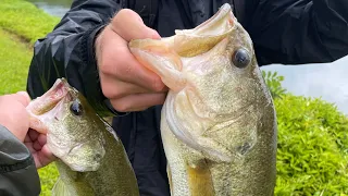 bass fishing in Hawaii