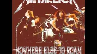 Metallica Live St. Jakob Stadion Basel Switzerland 1993 the thing that should not be