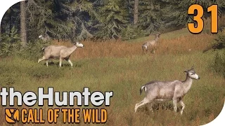 THE HUNTER: CALL OF THE WILD #31 - BESTE ANSITZJAGD EVER! 🐗 || PantoffelPlays