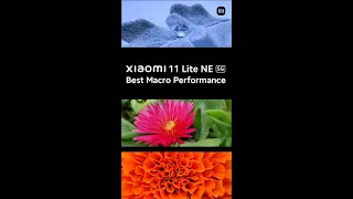 Xiaomi 11 Lite NE 5G - Best Macro Cameraphone