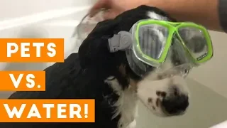 Funniest Pets Hate Water Compilation of 2018 | Funny Pet Videos