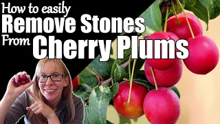 How to Remove Stones from Cherry Plums / Small Plums