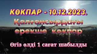 Сарыбаевтар әулеті Ыбырай қажы көкеміздің елден бата алу той көкпары 10.12.2023.