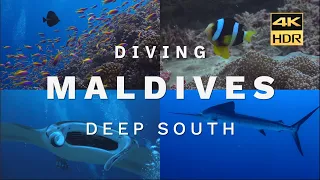 Maldives Deep South Atolls Diving on Emperor Serenity | 4K HDR | 2023