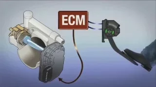 Lexus Electronic Throttle Control System