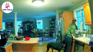 INSTANT REGRET COMPILATION l Something always happens in your house P1