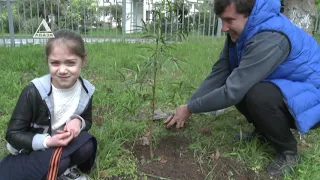 В Сухуме состоялась акция «Сад памяти»