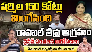 Sharmila Swallowed 150 Crores, Rahul Serious | YCP sensational Hot Comments | RED TV TELUGU