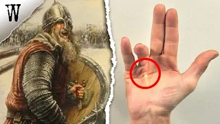 Signs of VIKING ANCESTRY You Shouldn't Ignore