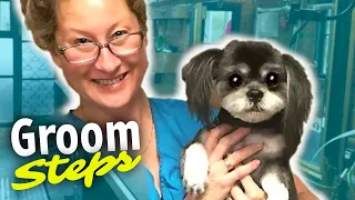 Dog Grooming Steps-How to Groom a Dog from Start to Finish (give your dog a haircut)