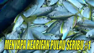 MENYAPA KEARIFAN PULAU SERIBU | JEJAK PETUALANG (16/06/21)