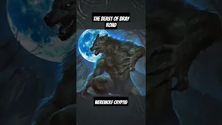 The Beast Of Bray Road l The Werewolf Of Wisconsin #cryptids #werewolf #short