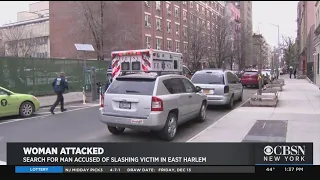 Woman Slashed In The Face In East Harlem