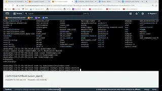 wazuh tutorial 4. vulenerbilies module in wazuh lab/demo, how to configure vulnerbiliyin english