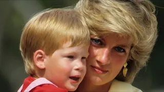 Princess Diana's Friend Has Something To Say About Prince Harry