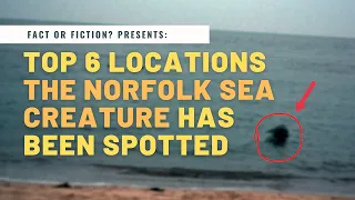 Top 6 LOCATIONS the NORFOLK SEA CREATURE has been SPOTTED