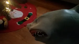 Merry Sharkmas