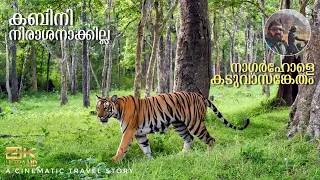 Kabini Forest Safari | Nagarhole Tiger Reserve, Karnataka