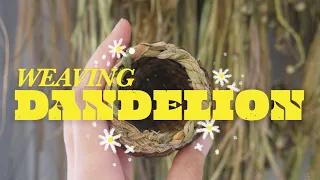 Weaving Foraged Dandelion