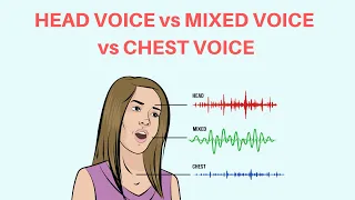 What Is Chest Voice, Mixed Voice, Head Voice And Falsetto?